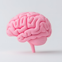 transcraniana